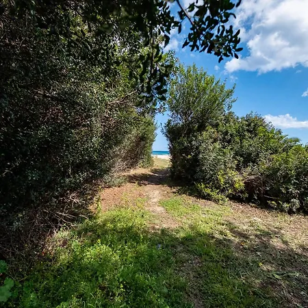 Villa Casa Linda 100m From The